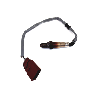 06A906262BG Oxygen Sensor (Rear)